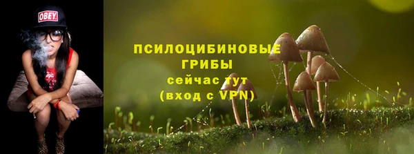 бошки Михайловка