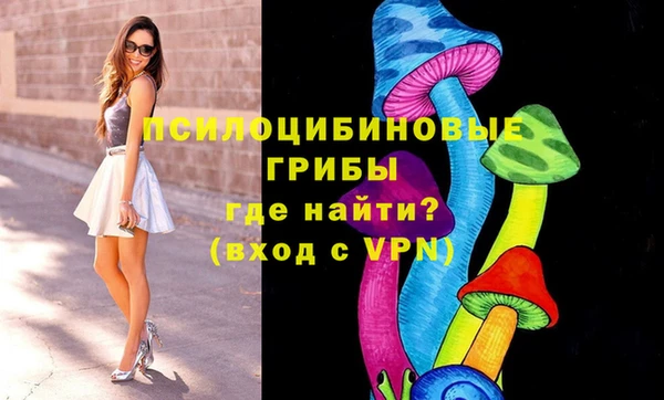 бошки Михайловка