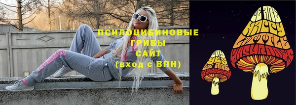 дурь Михайловск