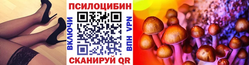 darknet состав Янаул Галлюциногенные грибы MAGIC MUSHROOMS